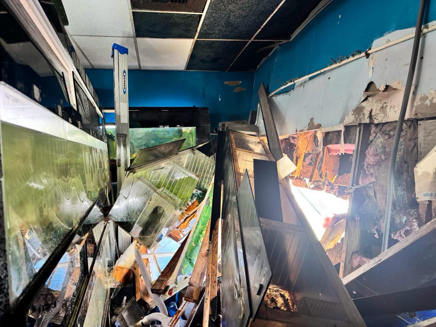 Vehicle Crashes Into St. Tammany Pet Center in Slidell